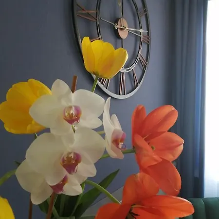 Bed & Breakfast Filsdeger Haz - & Apartmans Eger
