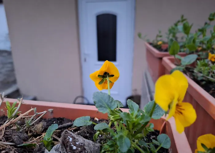 Filsdeger Haz 3* Eger