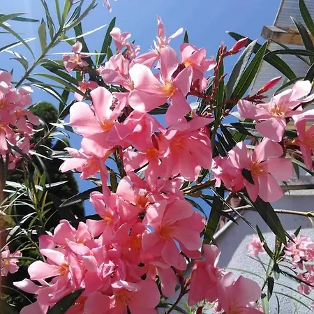 Filsdeger Ház - Rooms&apartmans Panzió