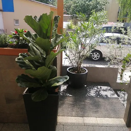Filsdeger Haz - & Apartmans 2* Eger