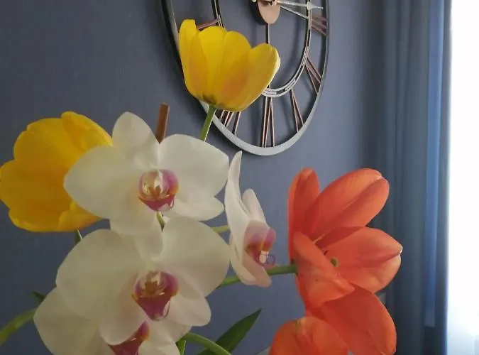 Bed & Breakfast Filsdeger Haz Eger