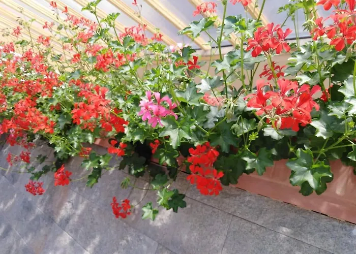 Filsdeger Ház 3* Eger